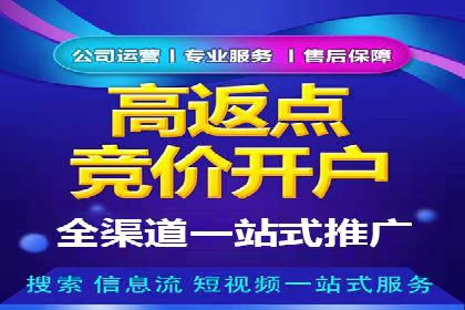 百度推广在电商行业的应用及效果